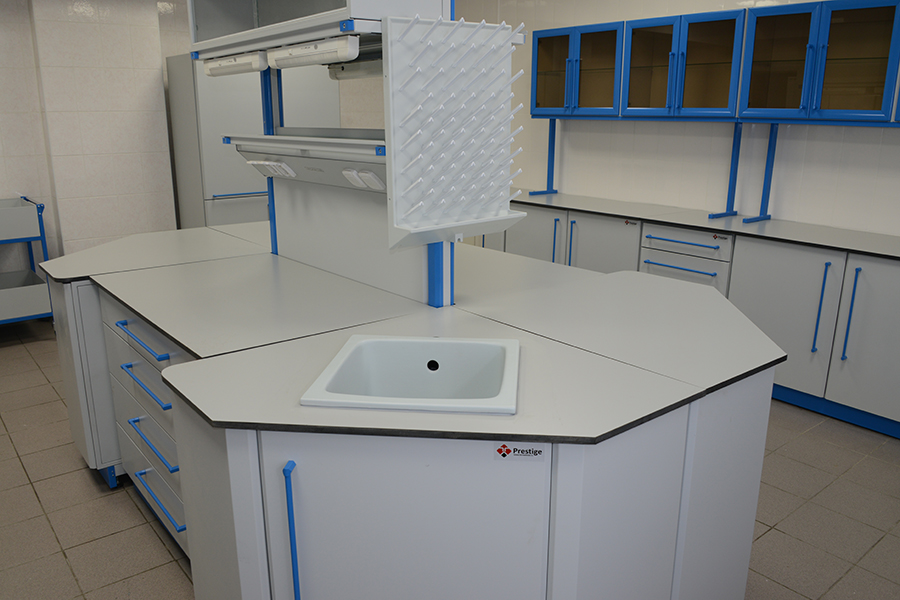 Лабораторный стол Дин-51ПТ в Екатеринбурге купить по цене от производителя